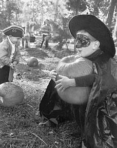 Bend Pumpkin Patch