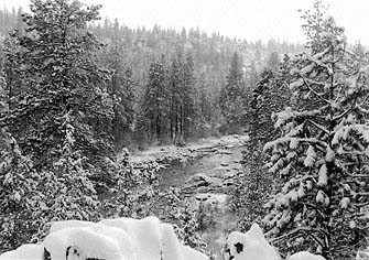 image/lindacom11.jpg, 37.8K