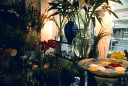 image/_27flowershop.jpg, 8.2K